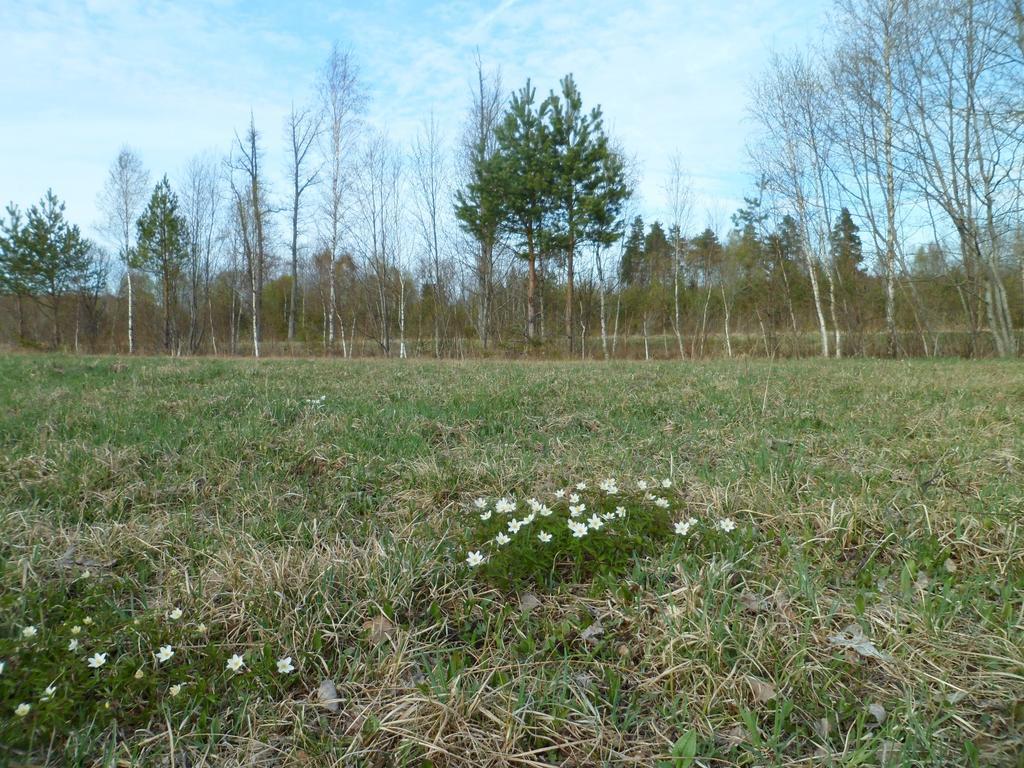Viruna Farm Kiraste Exterior photo