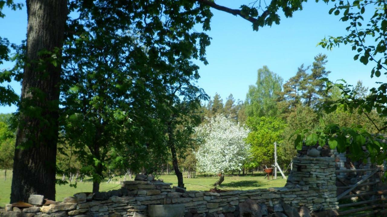 Viruna Farm Kiraste Exterior photo