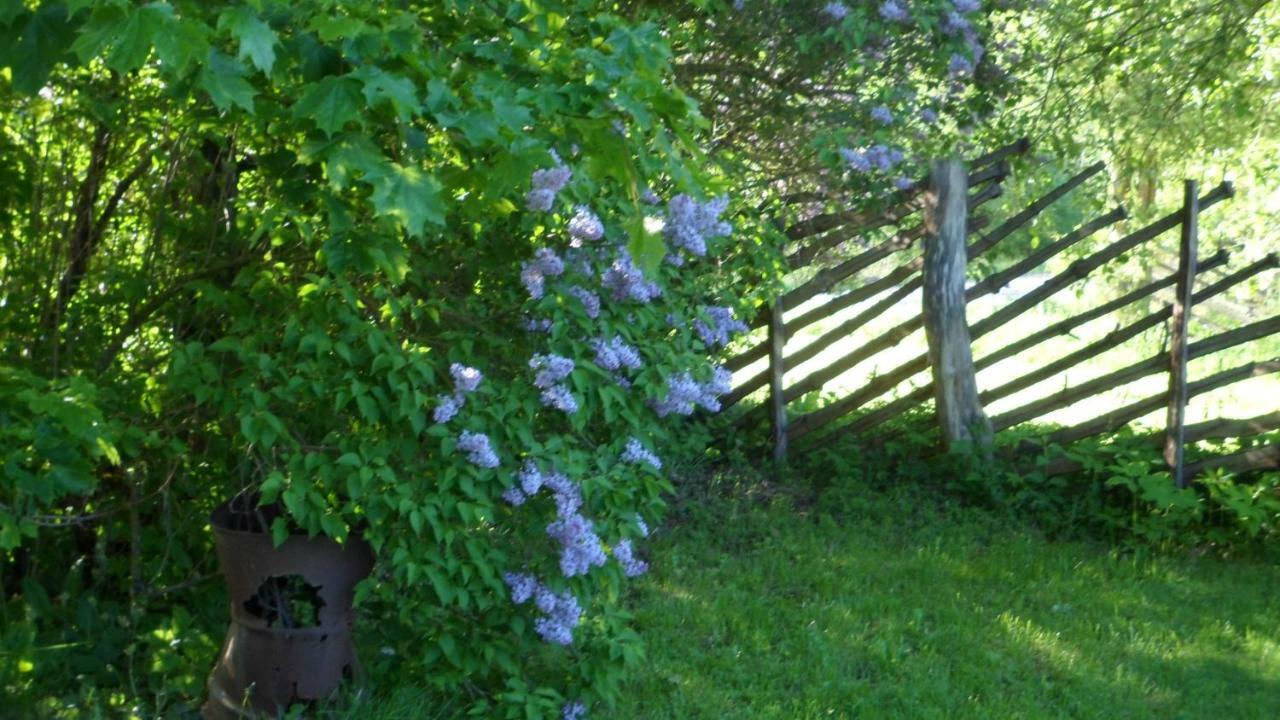Viruna Farm Kiraste Exterior photo